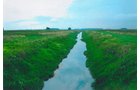 Property photo 4 - LAND AUCTION - 278.5+/- Acres Offered in 5 Tracts